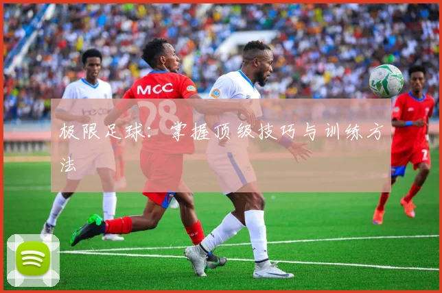 极限足球:掌握顶级技巧与训练方法